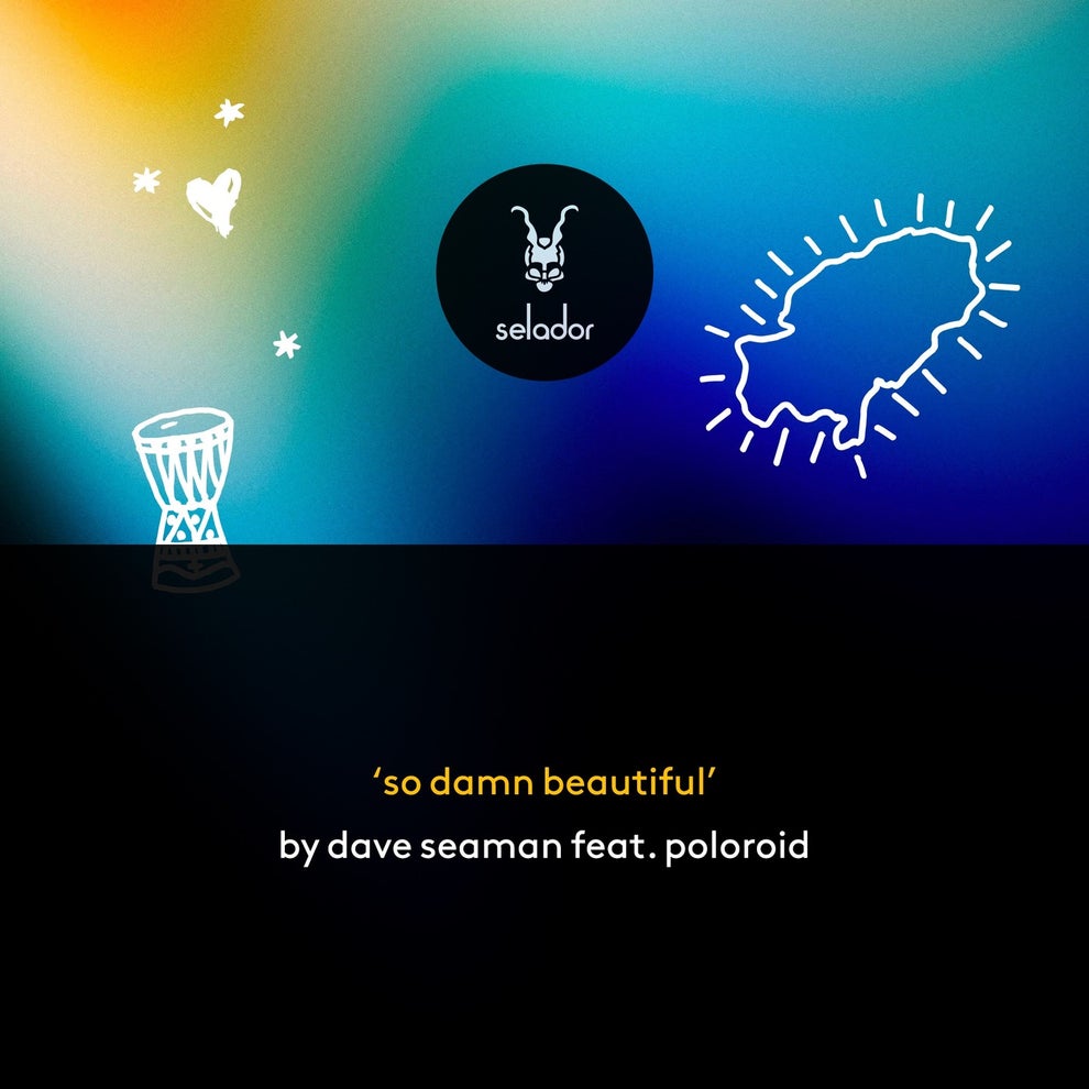 Dave Seaman  Poloroid - So Damn Beautiful