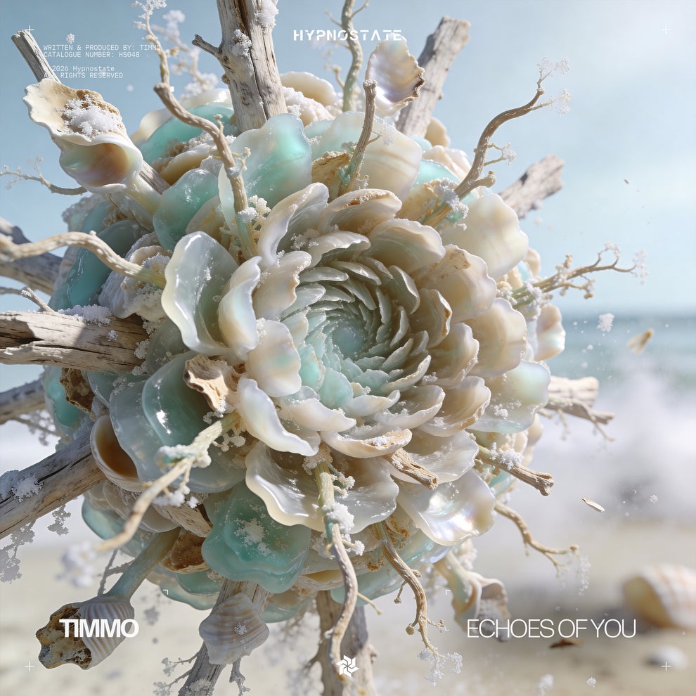 Timmo - Echoes of You