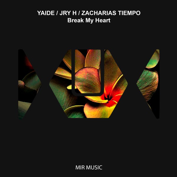 YAIDE  Jry H  Zacharias Tiempo - Break My Heart