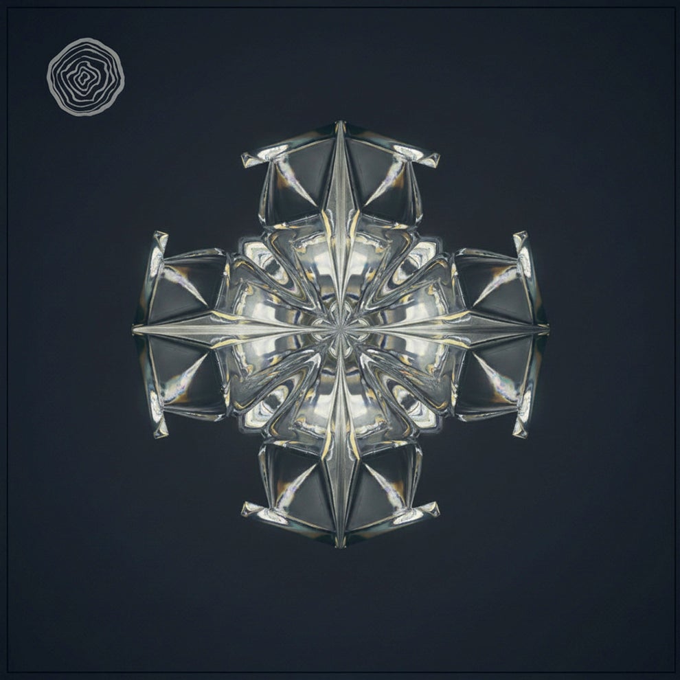 Chris  Raz - Revolution