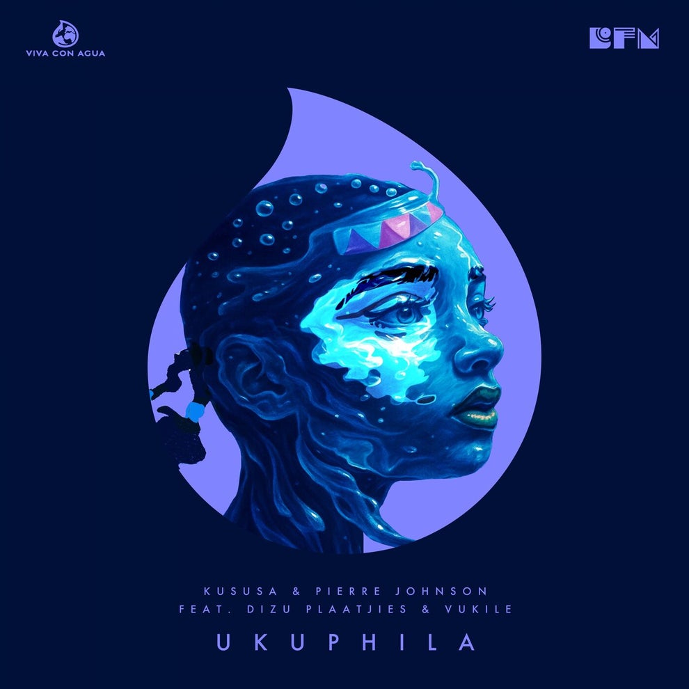 Kususa Pierre Johnson Dizu Plaatjies Vukile - Ukuphila