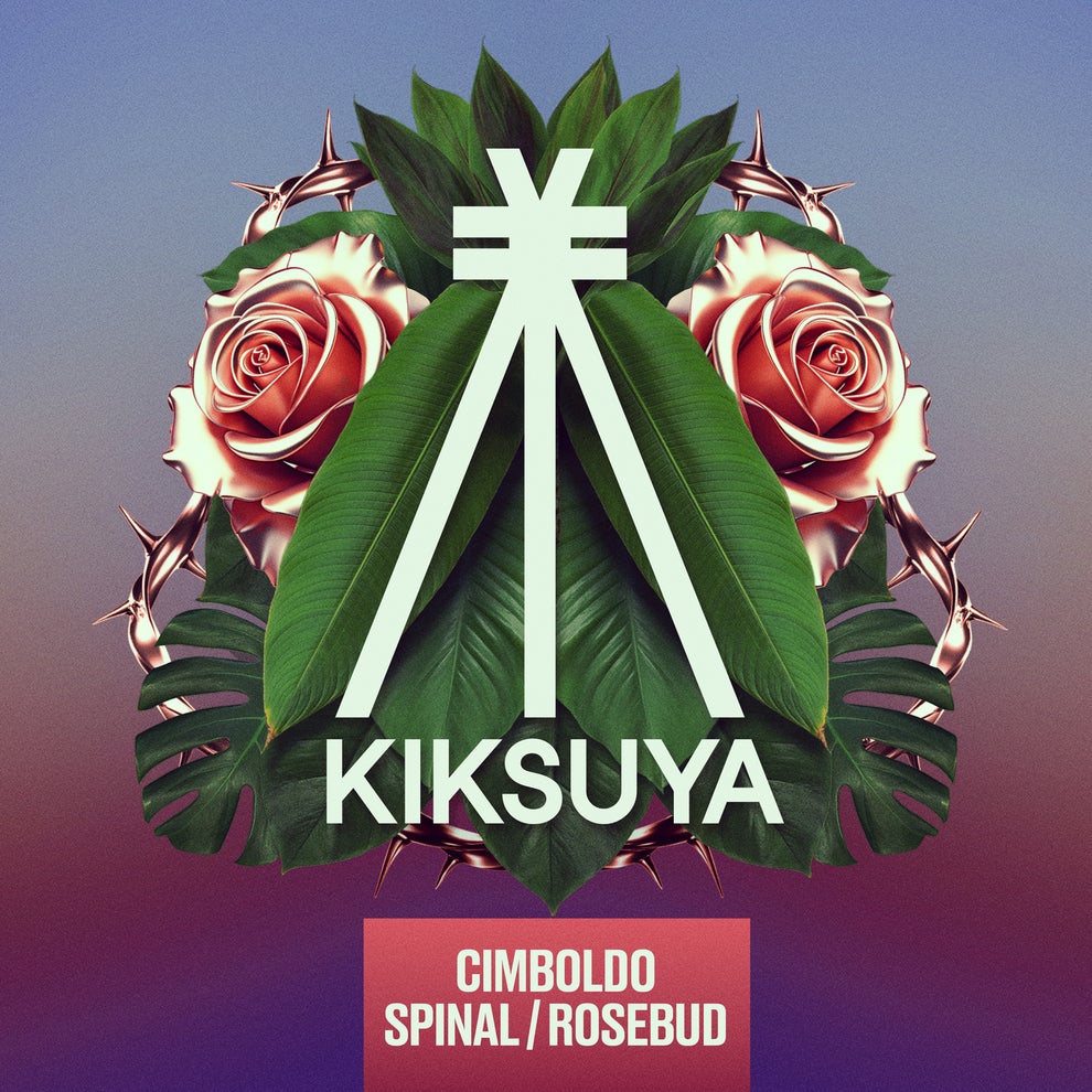 Cimboldo - Spinal - Rosebud