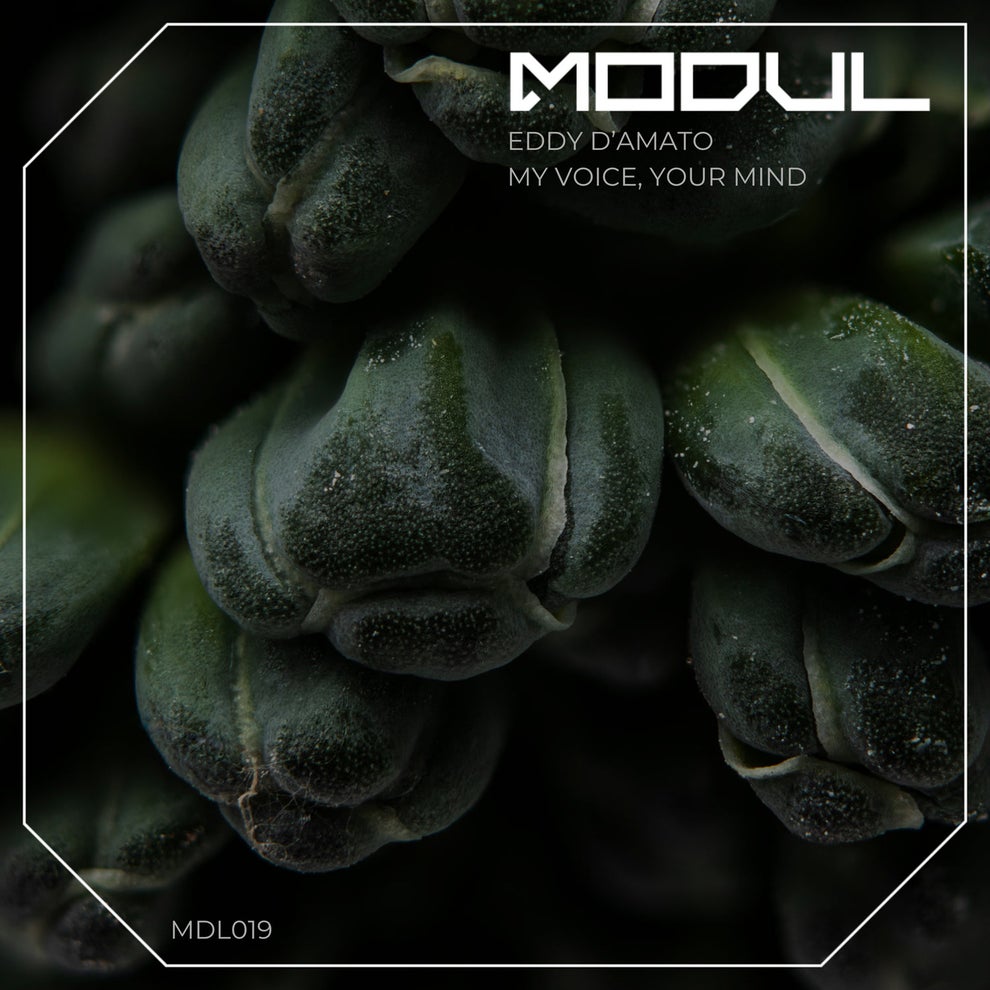 Eddy DAmato - My Voice Your Mind