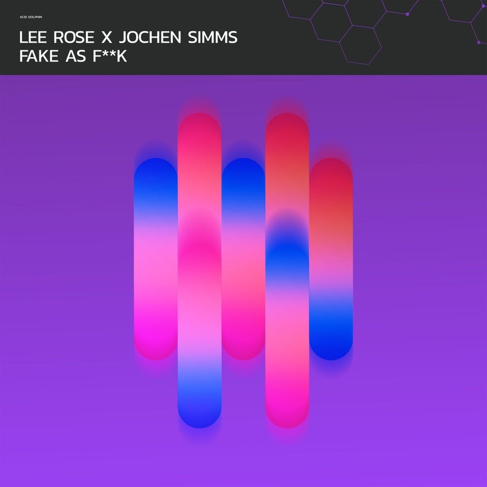 Jochen Simms Lee Rose - Fake as FK
