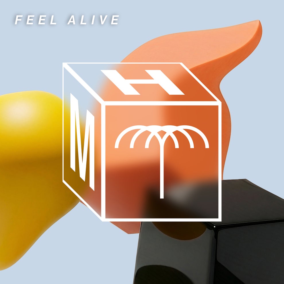 ZARO Fancy Inc - Feel Aliv