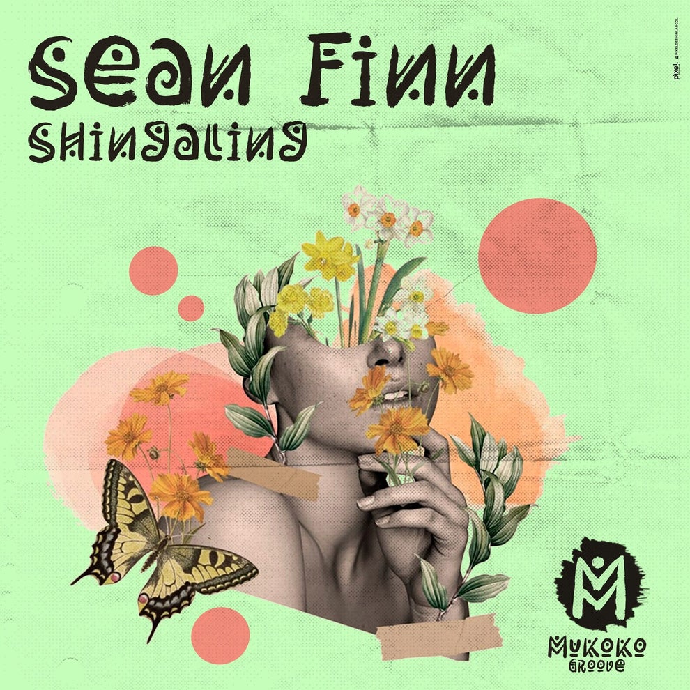 Sean Finn - Shingaling