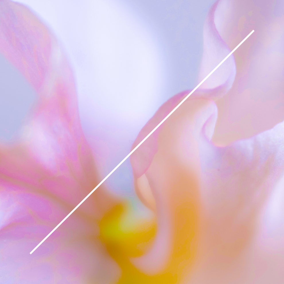 Savvas - Grace