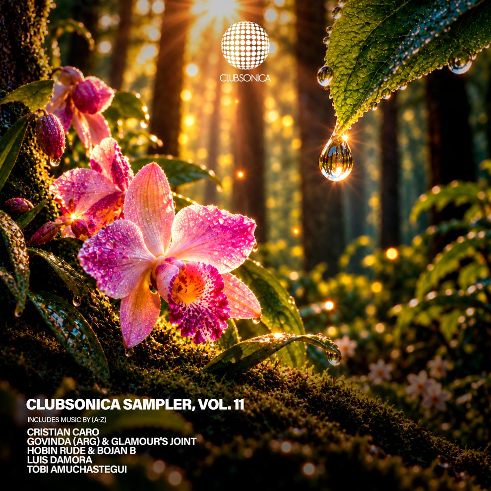 VA - Clubsonica Sampler Vol. 11