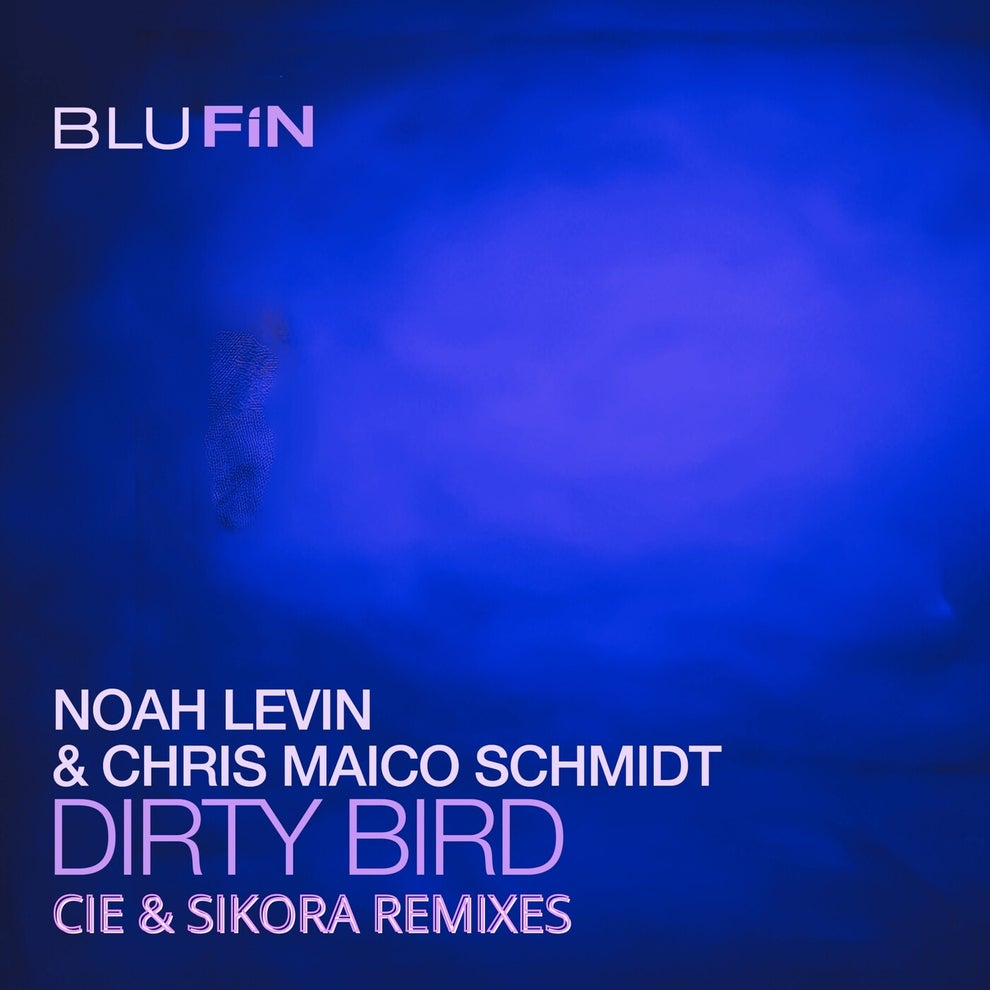 Chris Maico Schmidt Noah Levin - Dirty Bird (The Remixes)