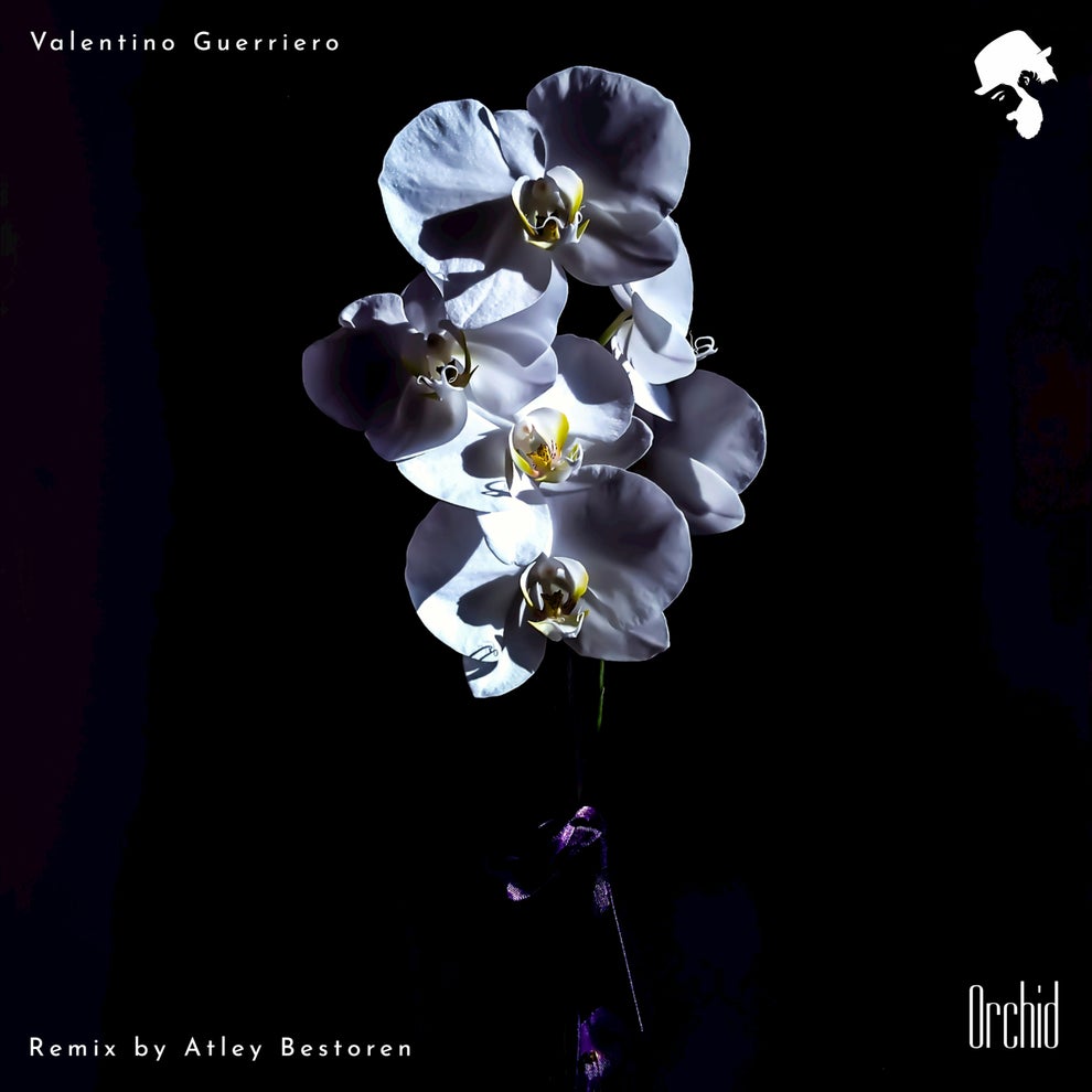 Valentino Guerriero - Orchid