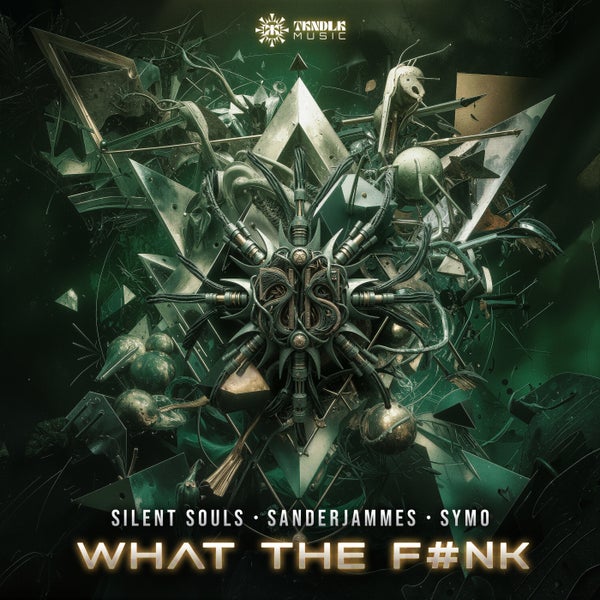 Silent Souls Sanderjammes SYMO - What the FNk