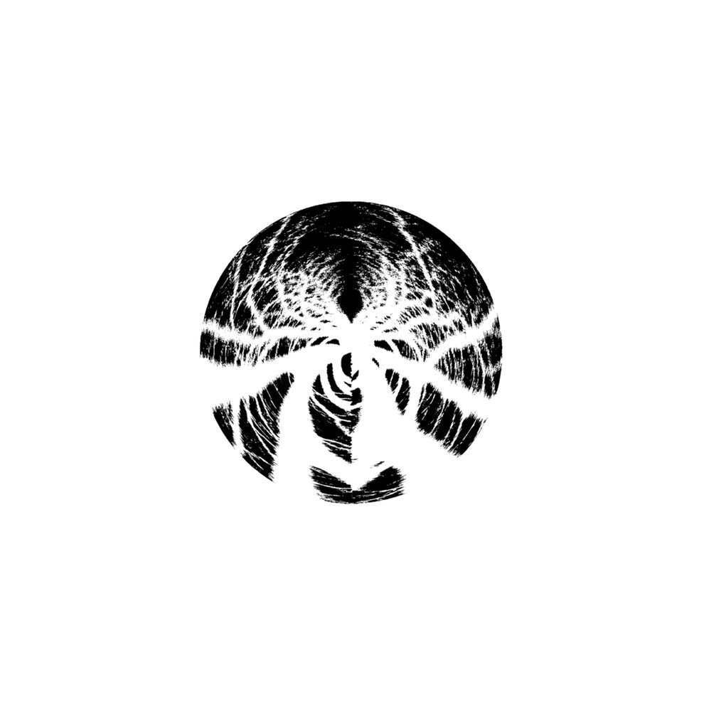 Phasmid - Dark Forest Theory