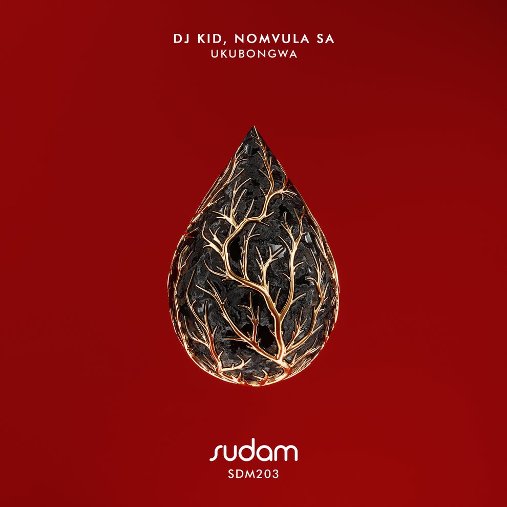 Dj Kid Nomvula SA - Ukubongwa