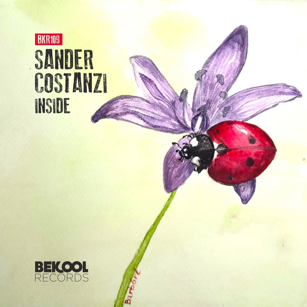 Sander Costanzi - Inside