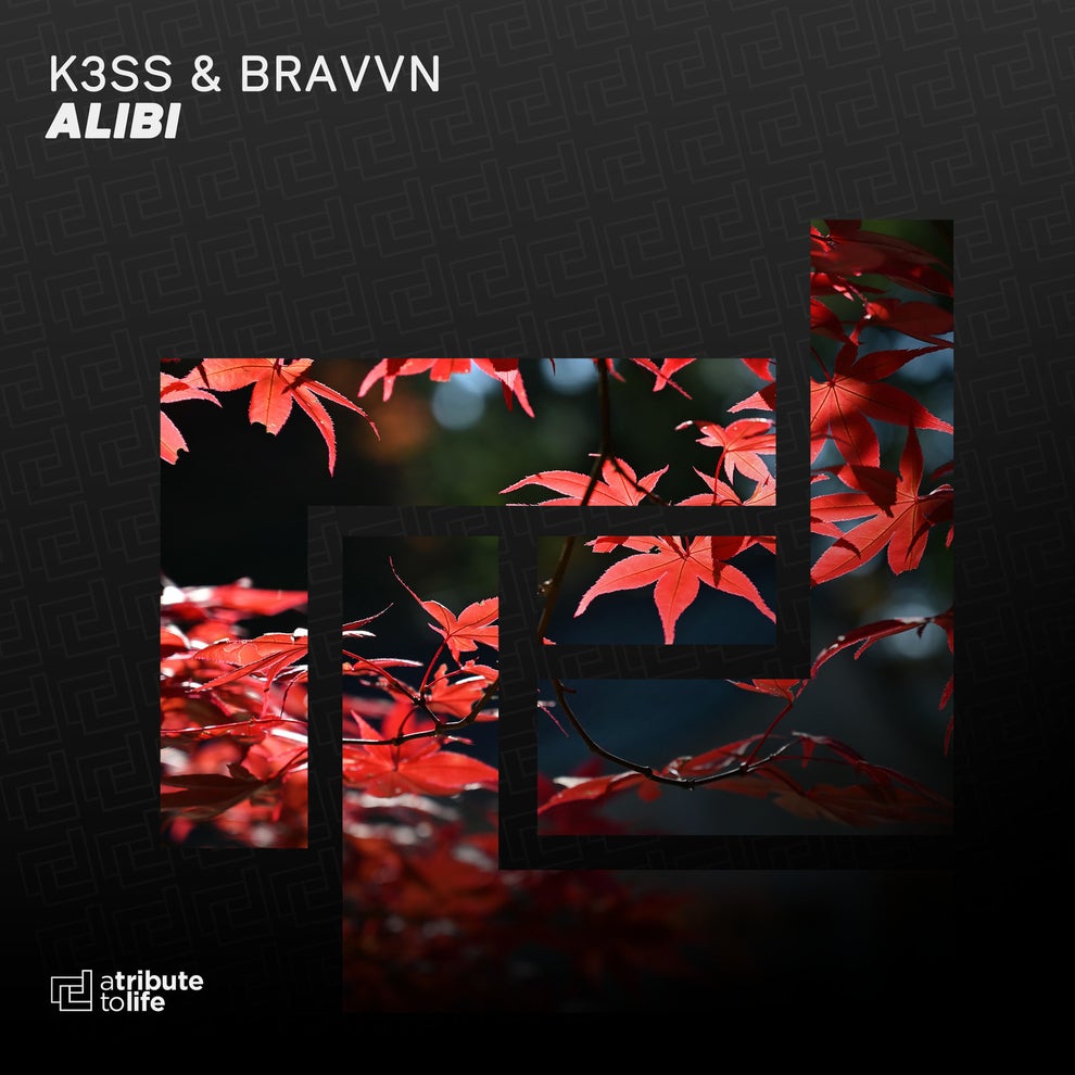K3SS BRAVVN - Alibi