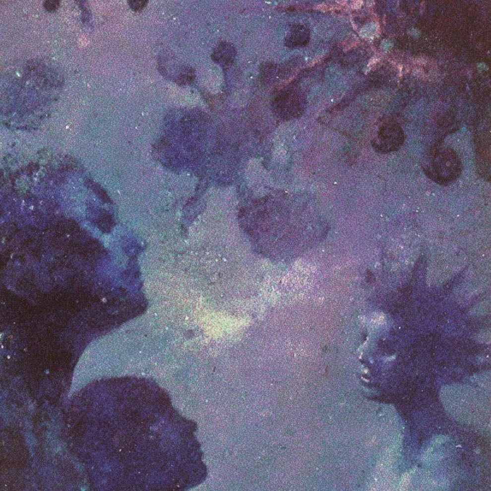 Glenn Morrison Night Waves (UK) - Volta - After Choice