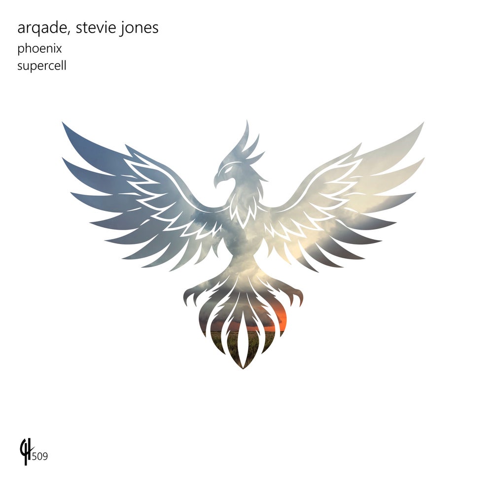 Arqade Stevie Jones - Phoenix