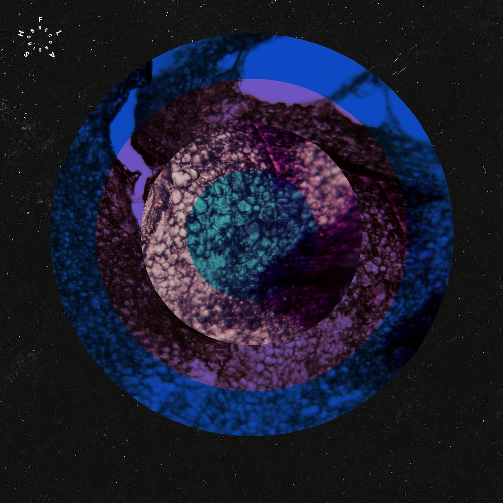 01100110 - Stumbling Blocks of Humankind EP