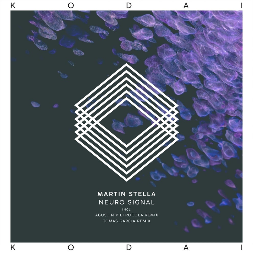 Martin Stella - Neuro Signal