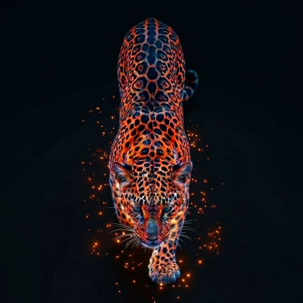 SYØGE - The Instinct