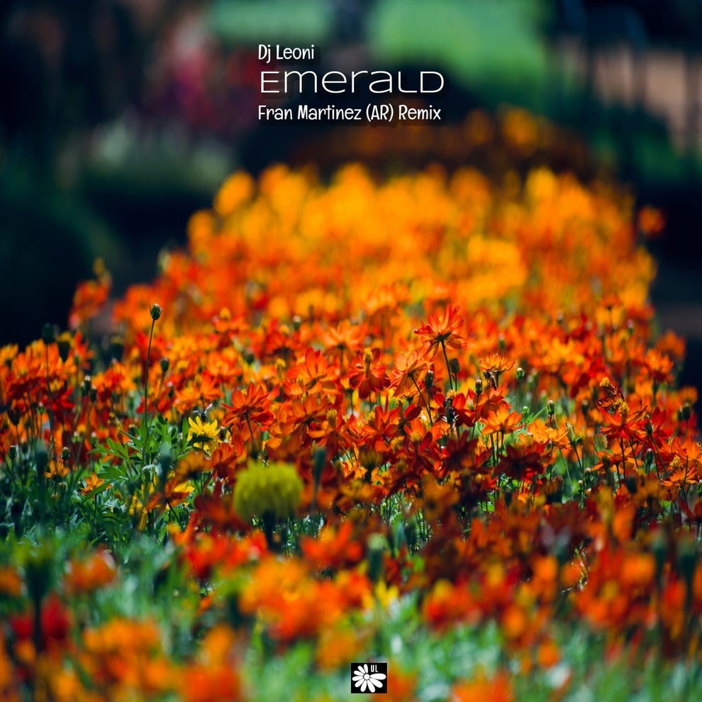DJ Leoni - Emerald (Fran Martinez AR Remix)