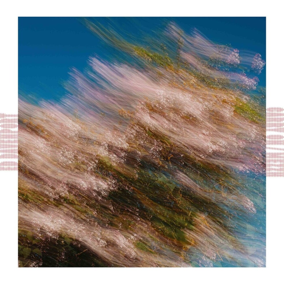 Ed Davenport - Carry On _ Mezzh