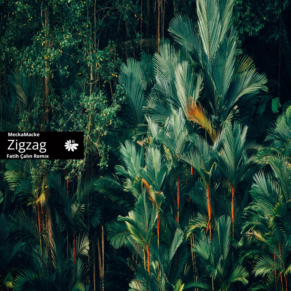 MeckaMacke - Zigzag (Fatih Çalın Remix)